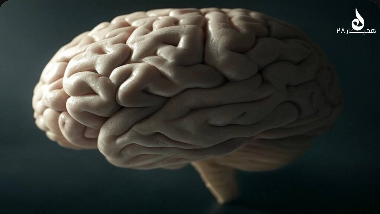 تاثیر محیط در تربیت